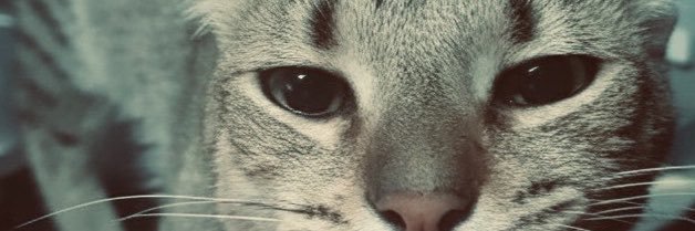 soldierrs2's profile banner image