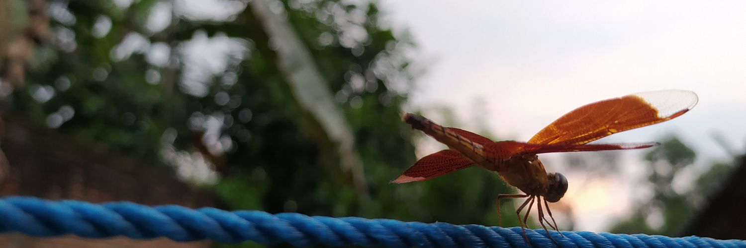 bondot12's profile banner image