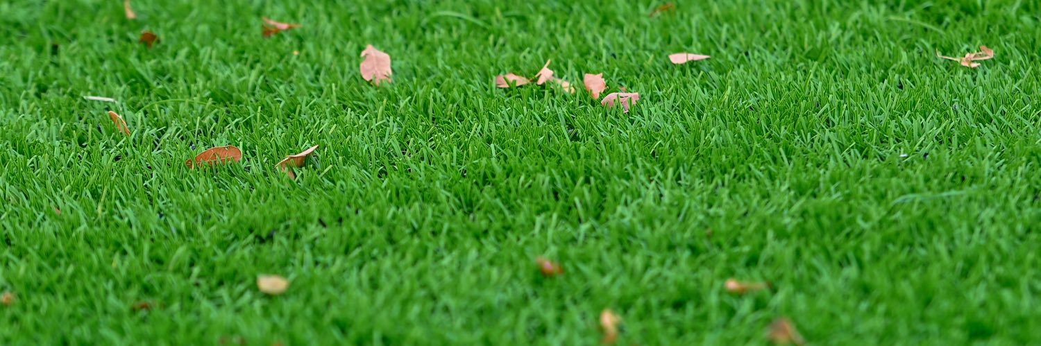 _barwis's profile banner image