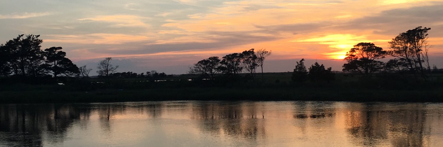 hannahgoldfarb's profile banner image