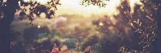 RociioLago's profile banner image