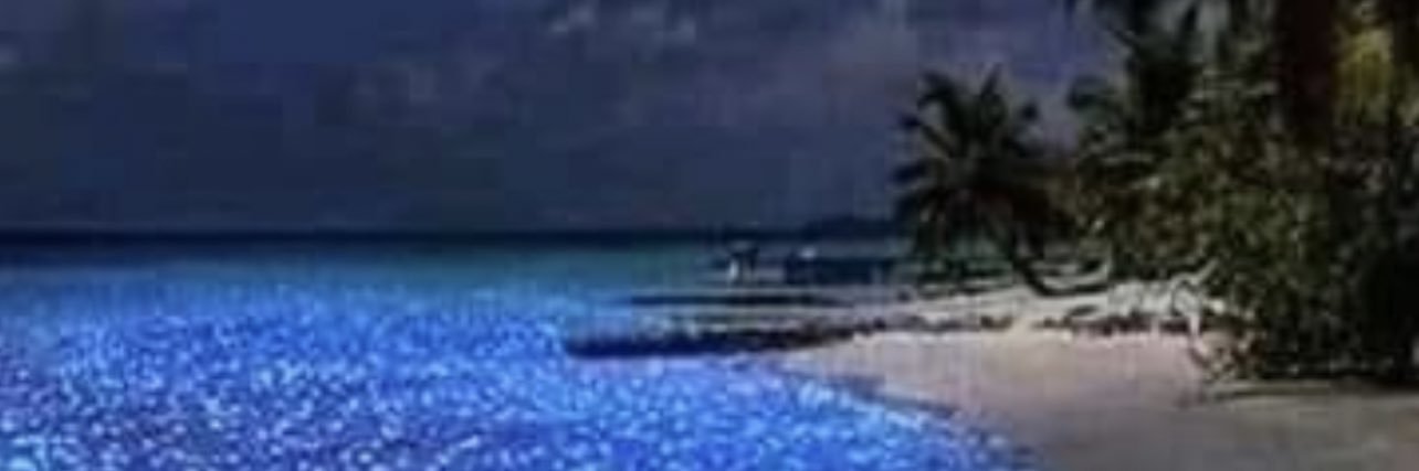 jpdilla's profile banner image