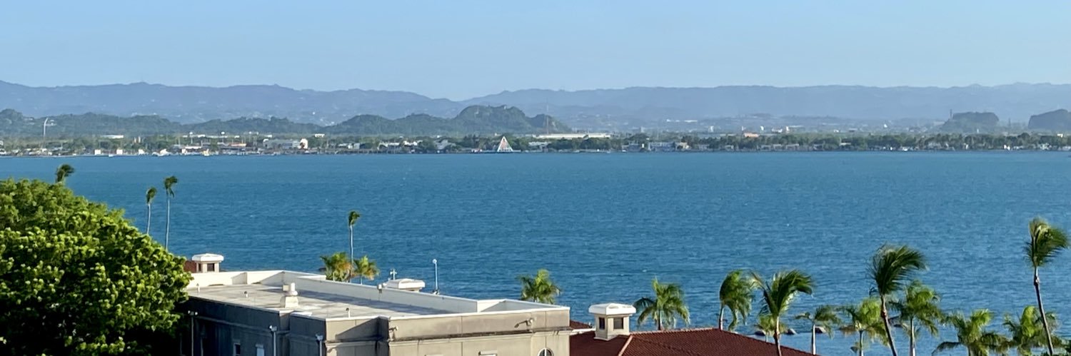Viva Las Bori ♥️🇵🇷 banner