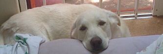 david_beddow's profile banner image