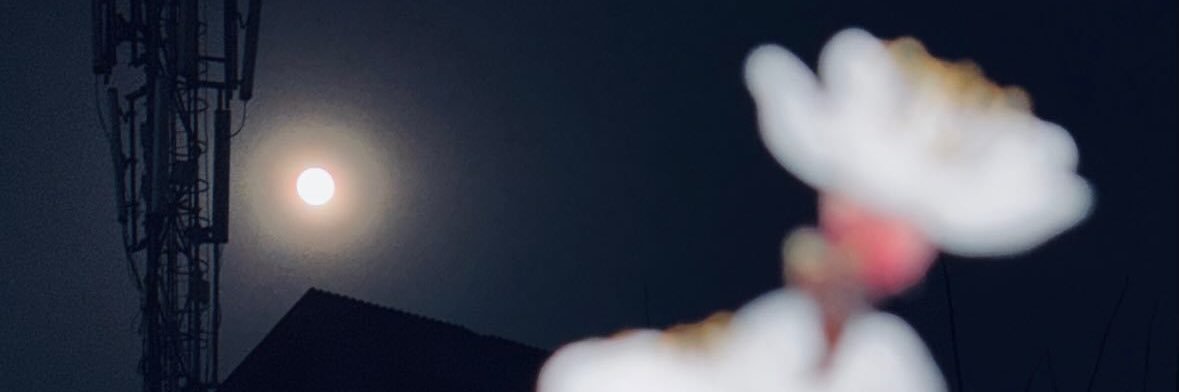 minusakh's profile banner image