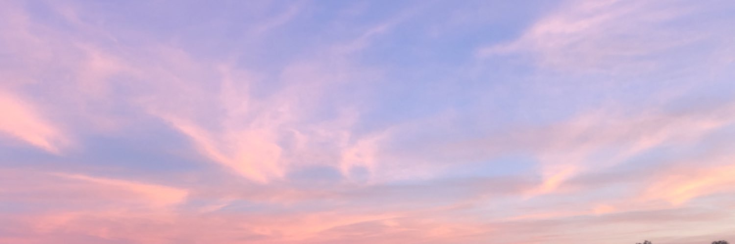 karissakusy's profile banner image