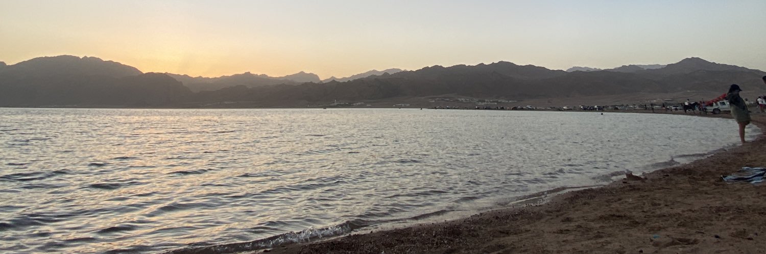 amrhusseen's profile banner image
