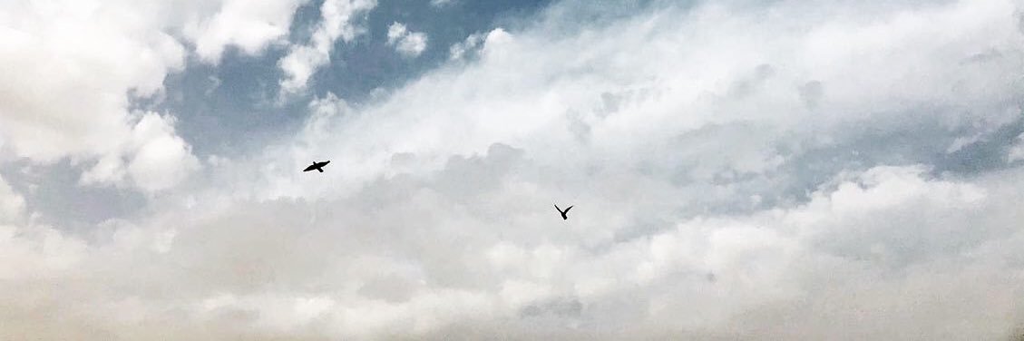 iira_moh's profile banner image