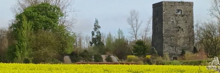 seamusd91's profile banner image