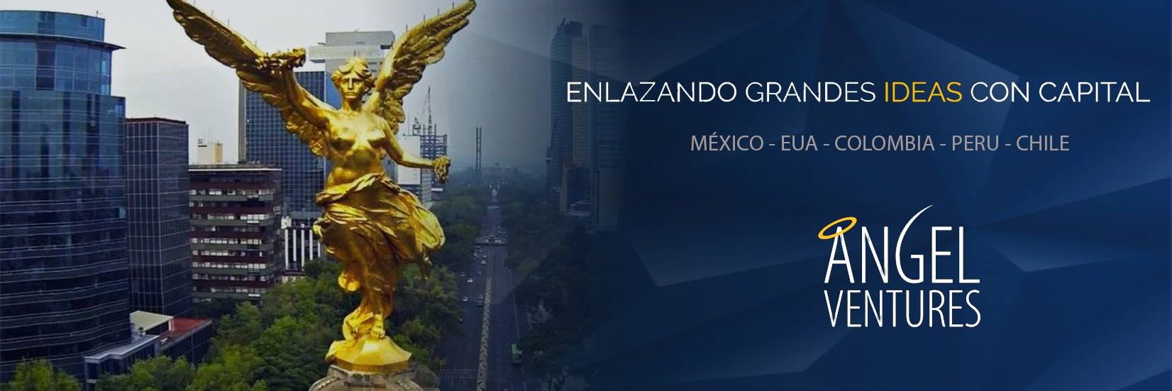 Angel Ventures banner