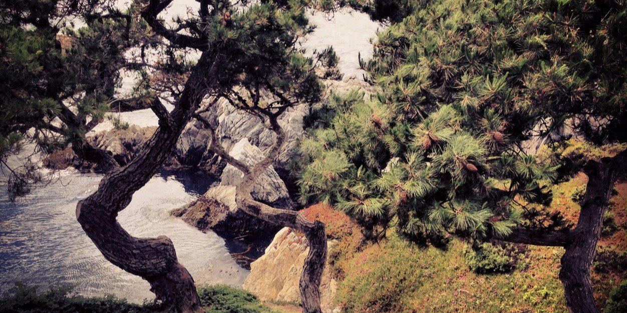 altadenadad's profile banner image