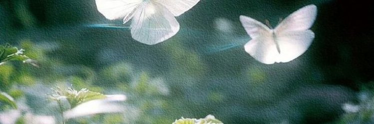 VeildInNur's profile banner image