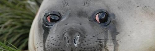 KingLantis's profile banner image