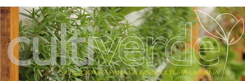 CultiverdeChile's profile banner image