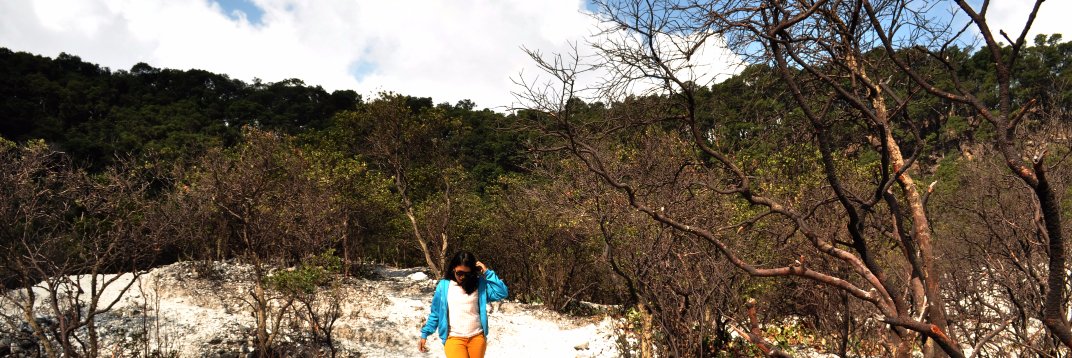 Miya_PG's profile banner image
