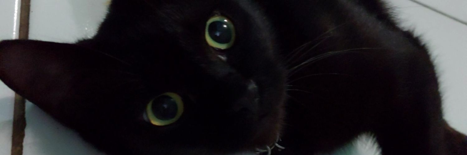 ochroooo's profile banner image