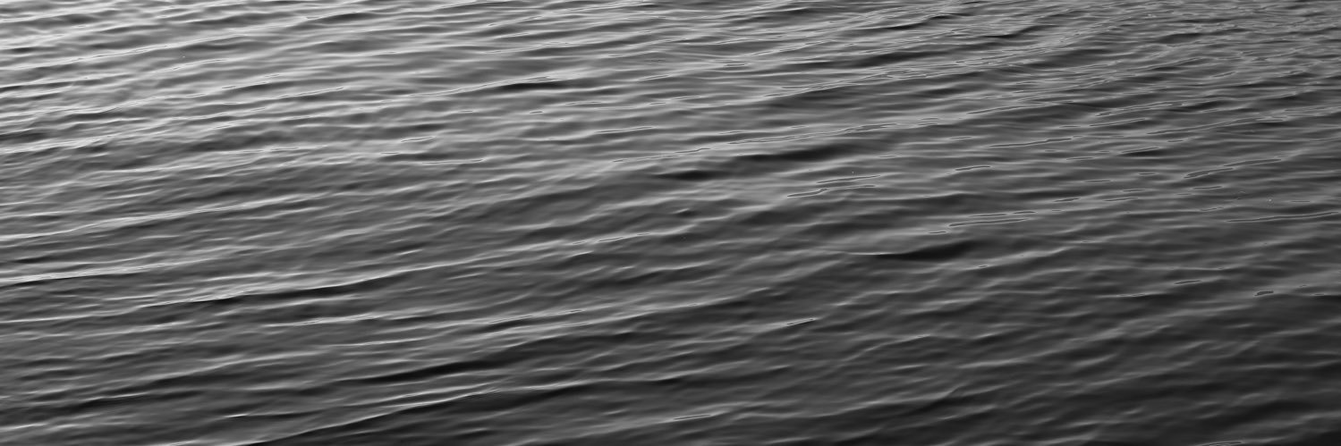 AlexandraNibley's profile banner image