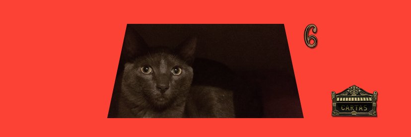 rodrigueles's profile banner image