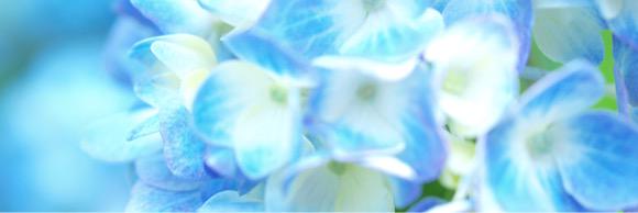 hashikokko's profile banner image