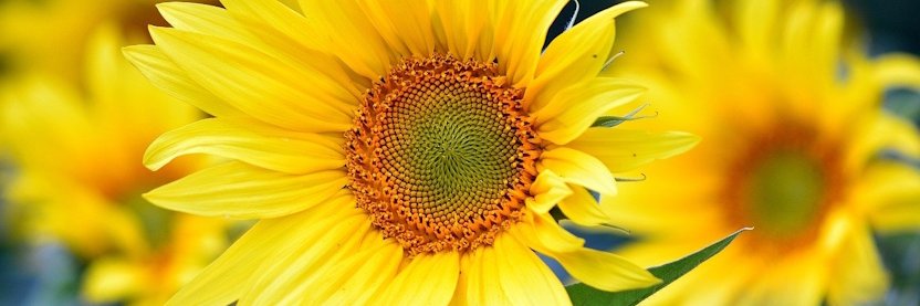 LondonInsight's profile banner image