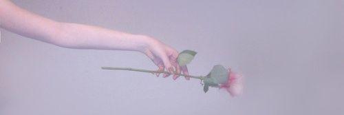 Flower_Poem's profile banner image