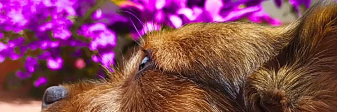 EvaSchez16's profile banner image