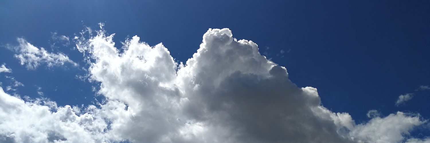 LGI_vlc's profile banner image
