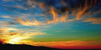 OrangeMR1126's profile banner image