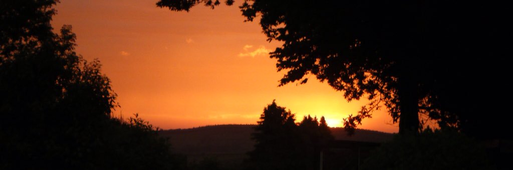 debbiefeld's profile banner image
