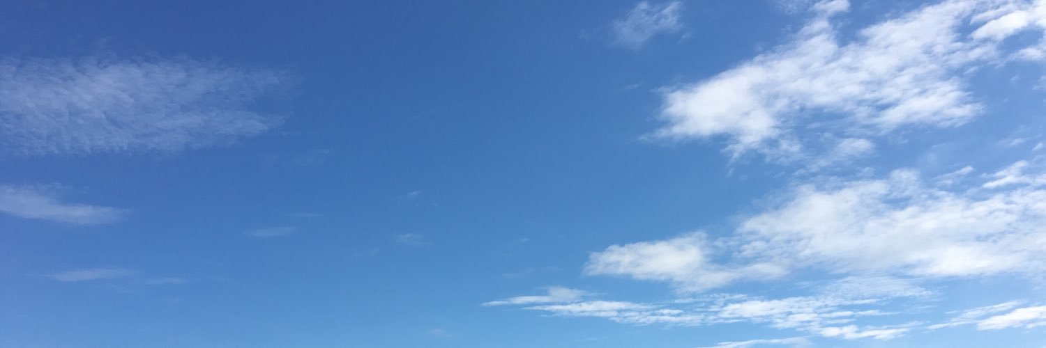 たけむー banner