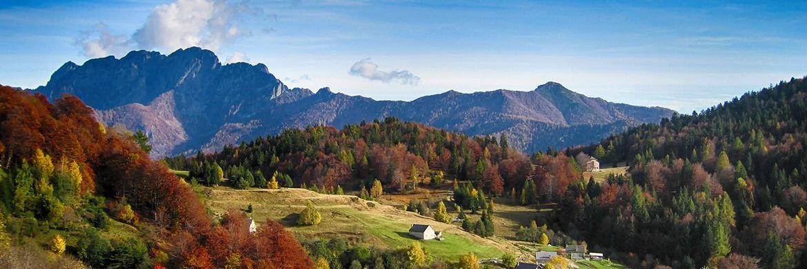 vallevigezzo's profile banner image