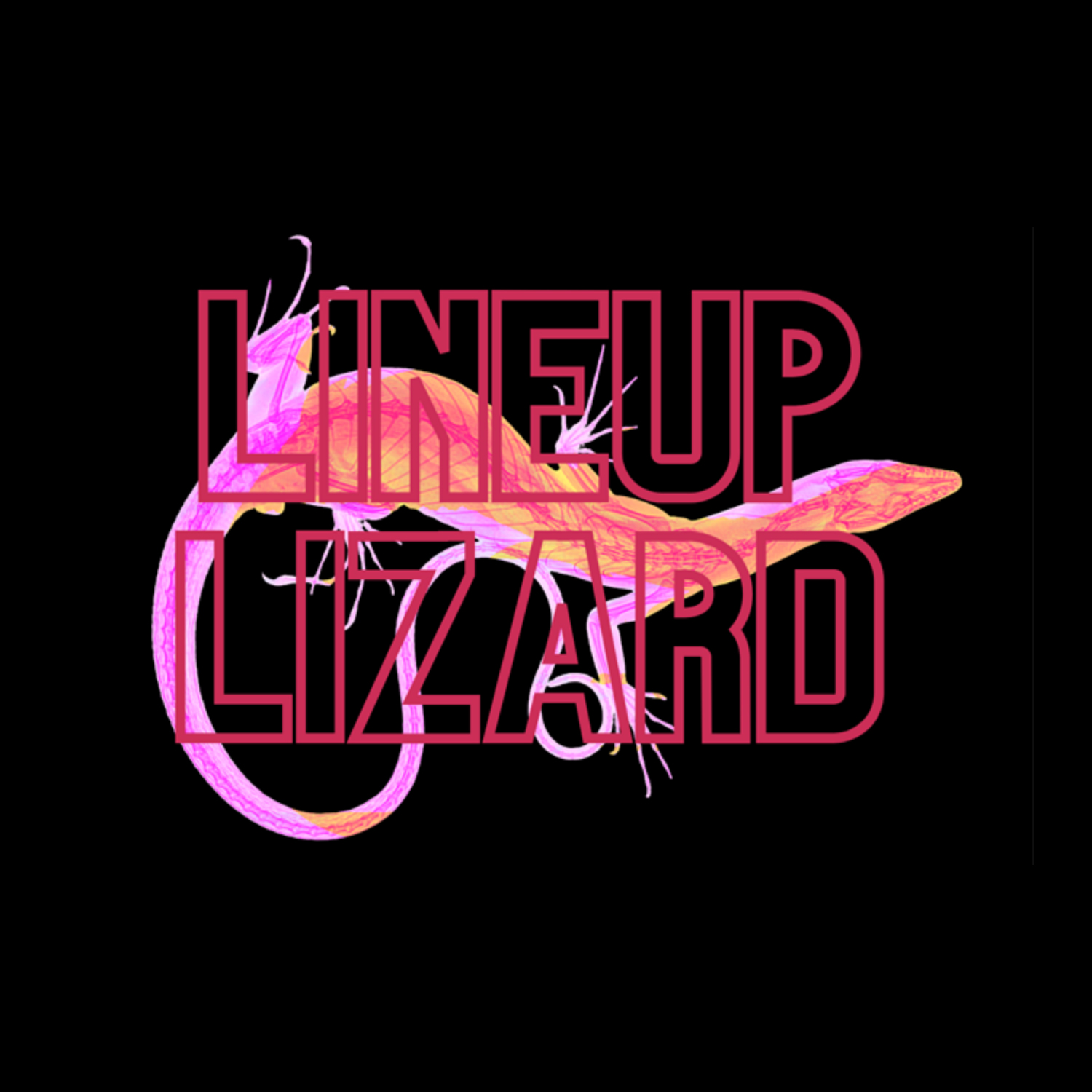 lineuplizard's profile banner image