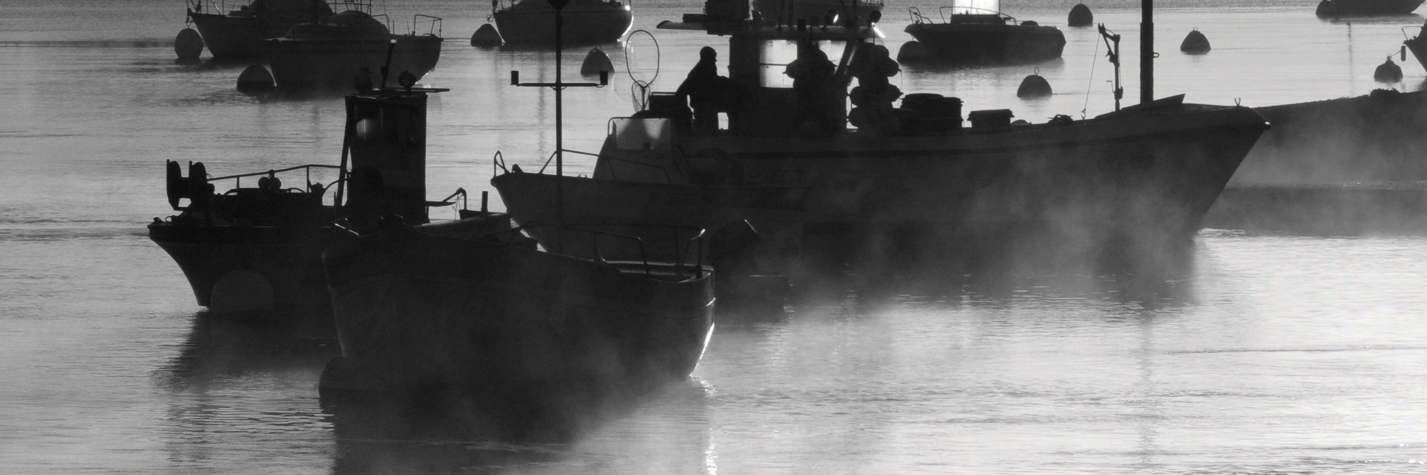 stephanecharbo4's profile banner image
