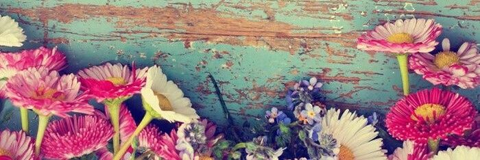 lop_didy's profile banner image