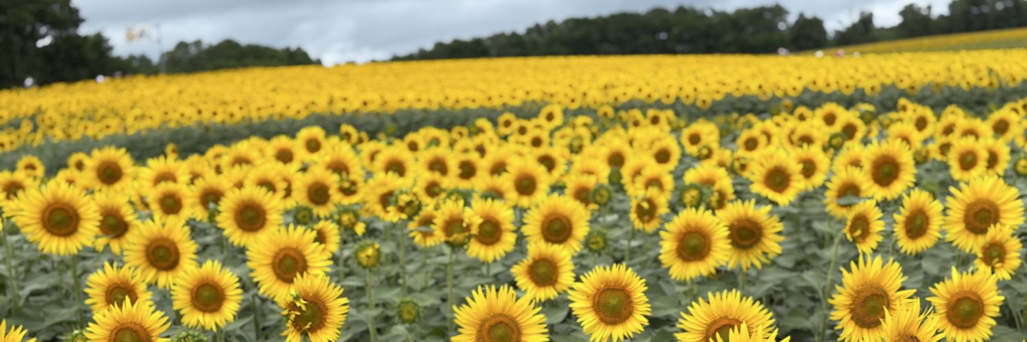 TK@診断士受験生 banner