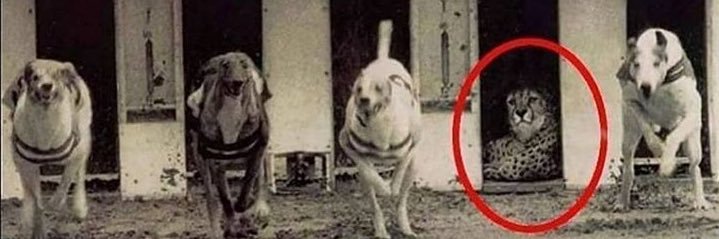 MJEED | مجيد banner