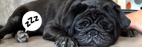 NBHieu Profile Banner