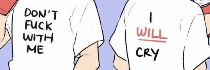 steph banner