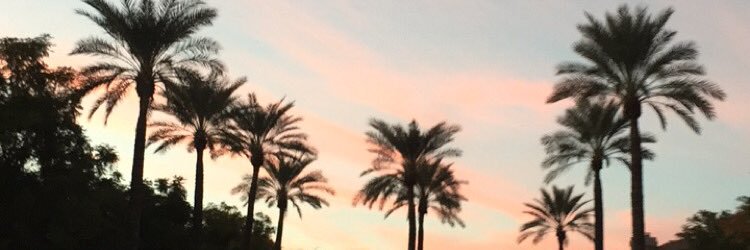 regantanner's profile banner image