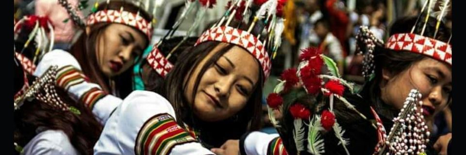 miZO zEITGEIST banner