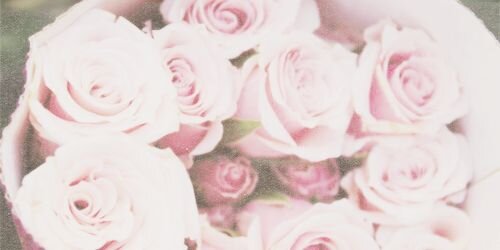 txajieun's profile banner image