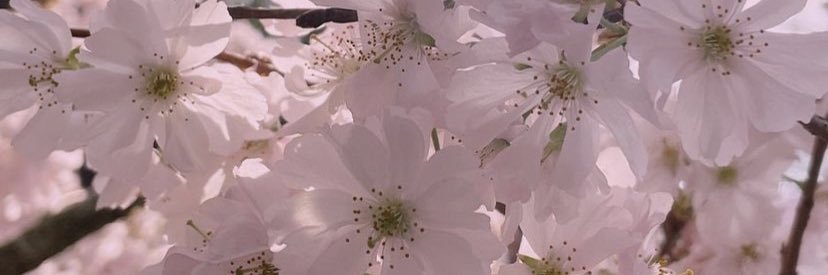 itsjustfel's profile banner image