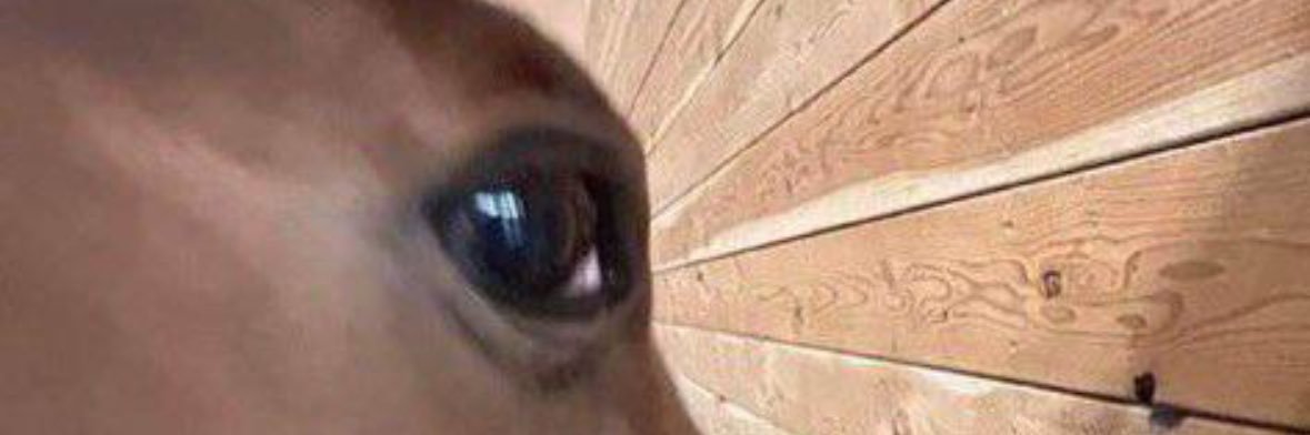 YESDUPMAIL's profile banner image