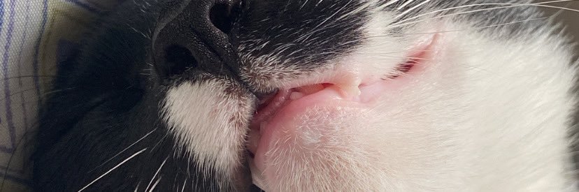 brumhrt's profile banner image