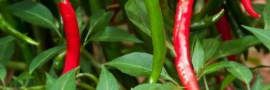 africabeautiful's profile banner image