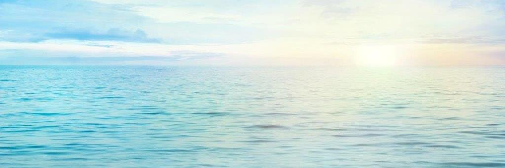 David Doctorow banner