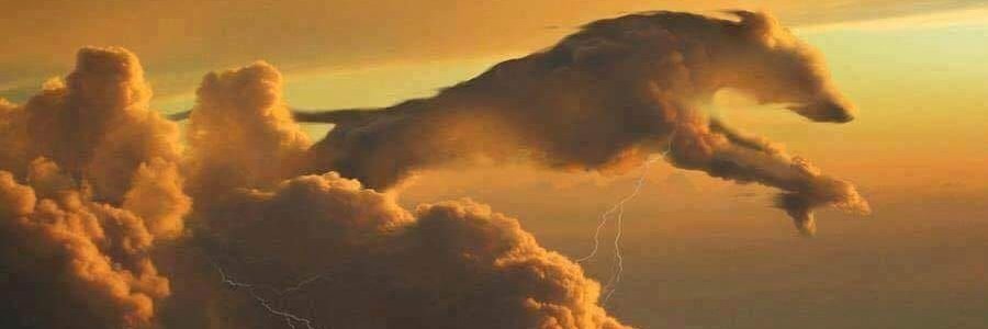 tianvalera's profile banner image