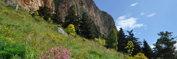 GreekNature Profile Banner