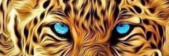 novsusans's profile banner image