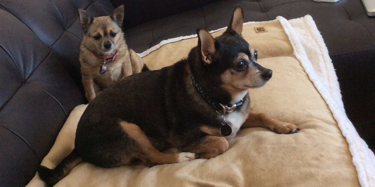 scoobems911's profile banner image